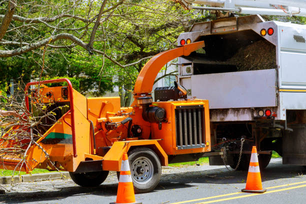 Seasonal Cleanup (Spring/Fall) in Layton, UT